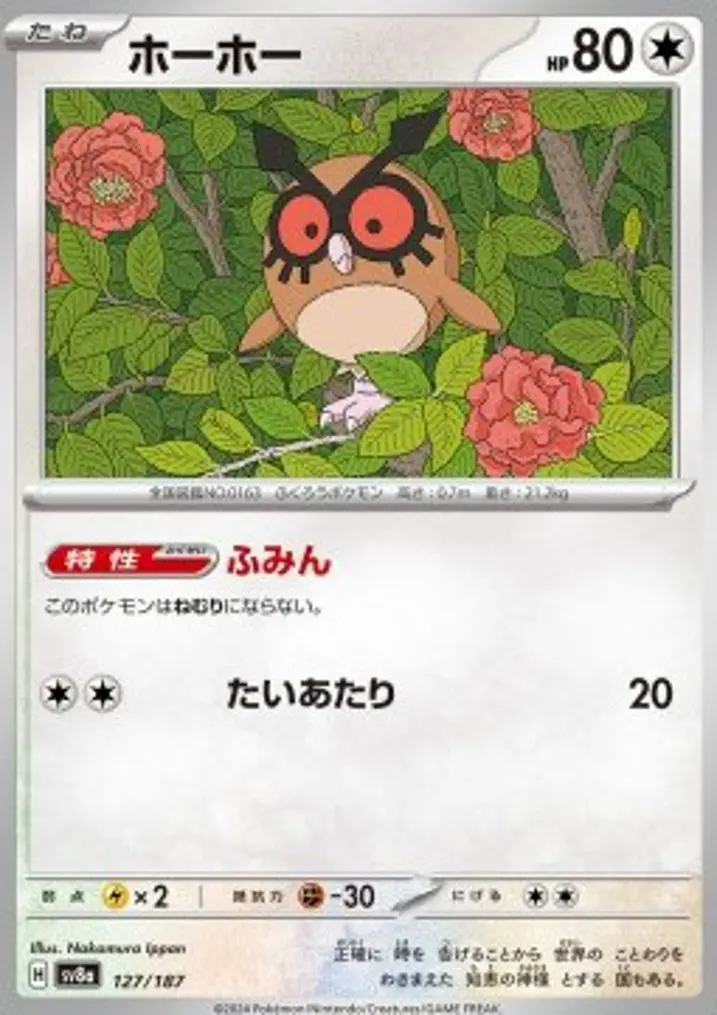 Hoothoot 