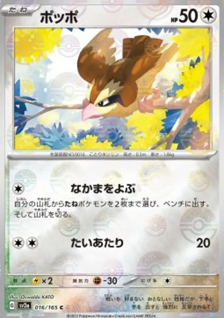 Pidgey 