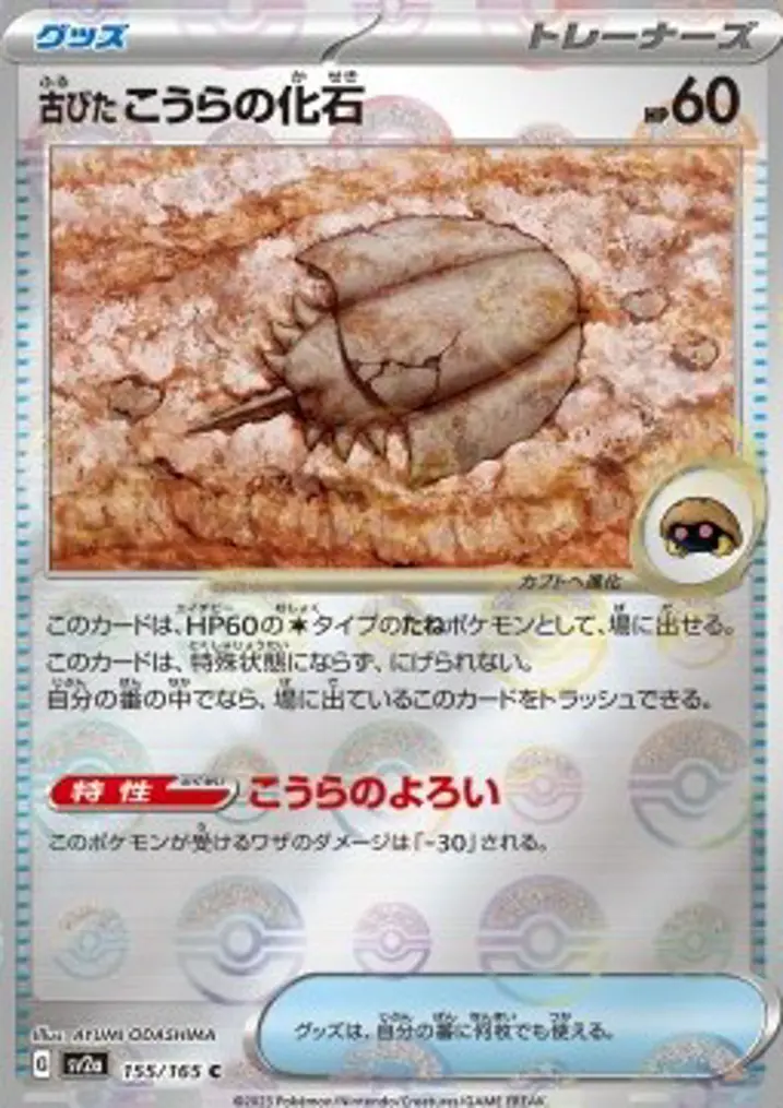 Antique Dome Fossil 