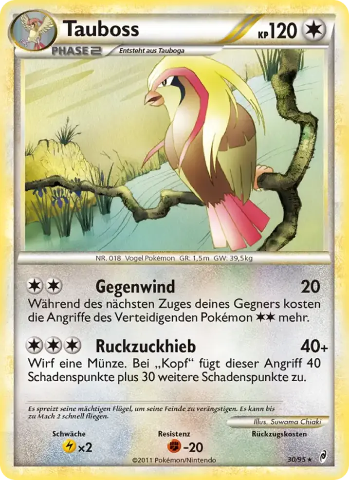 Pidgeot 