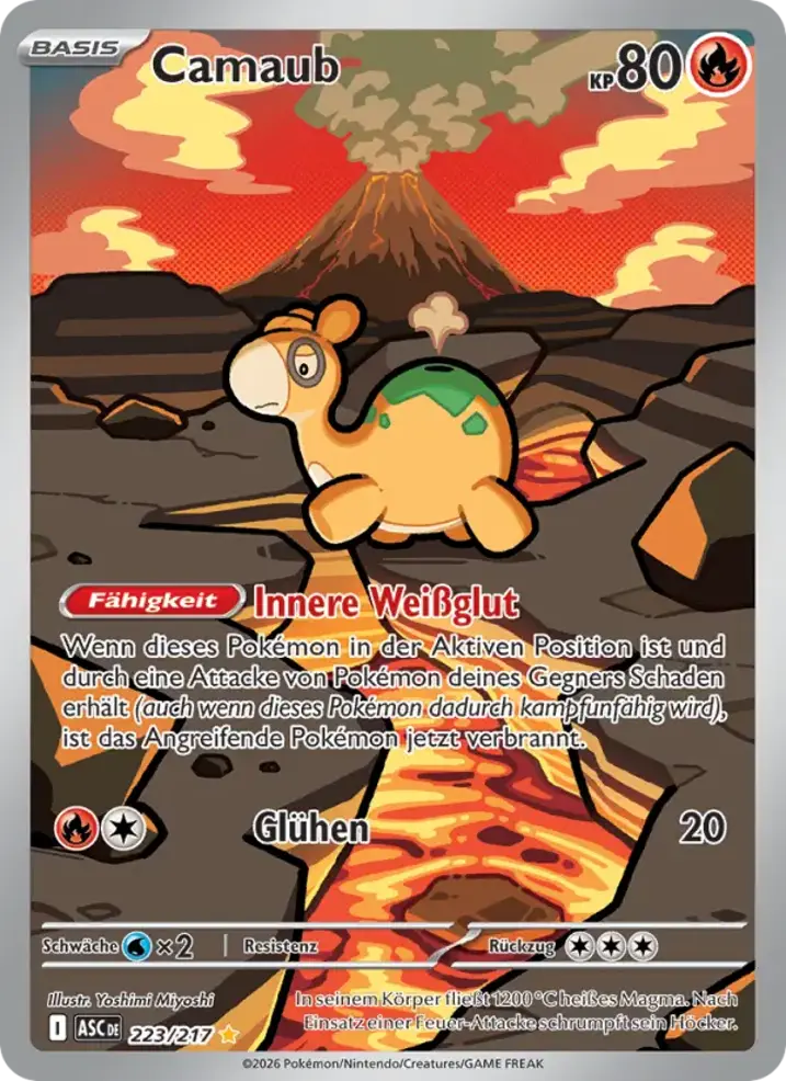 Numel 