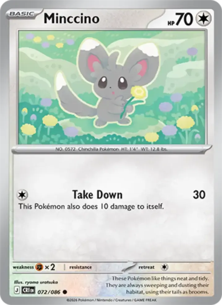 Minccino 
