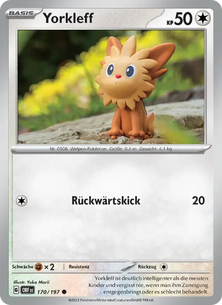Lillipup 