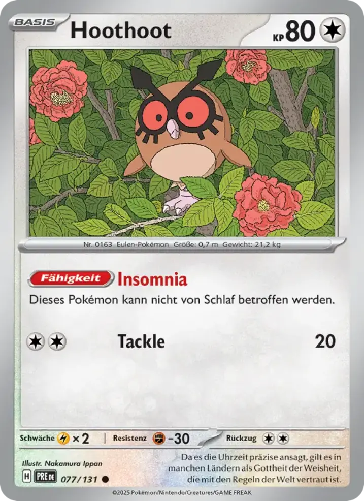 Hoothoot 