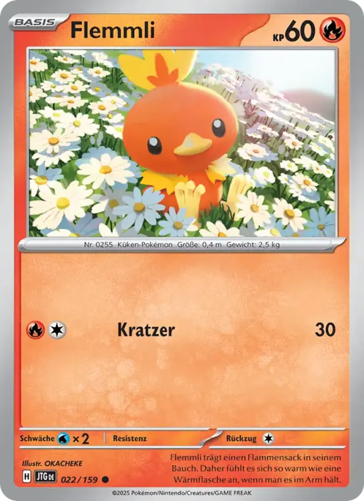Torchic 