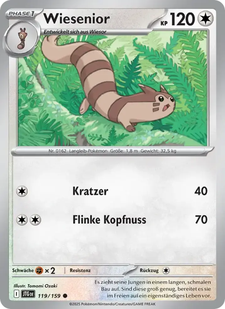 Furret 