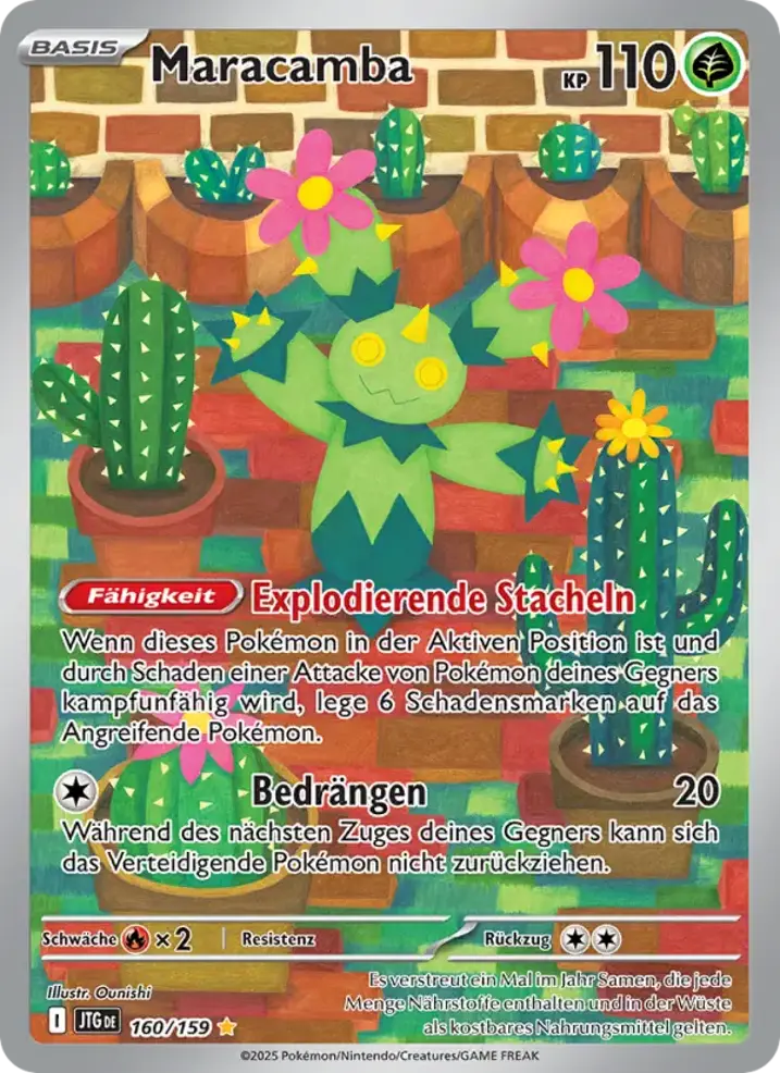 Maractus 
