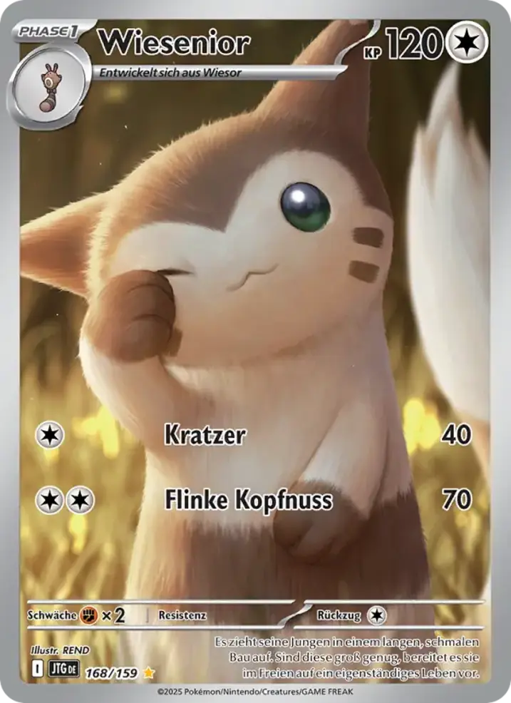 Furret 