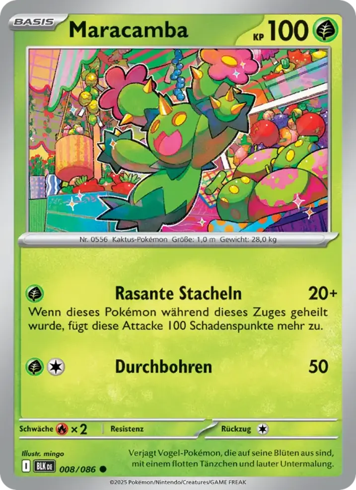 Maractus 