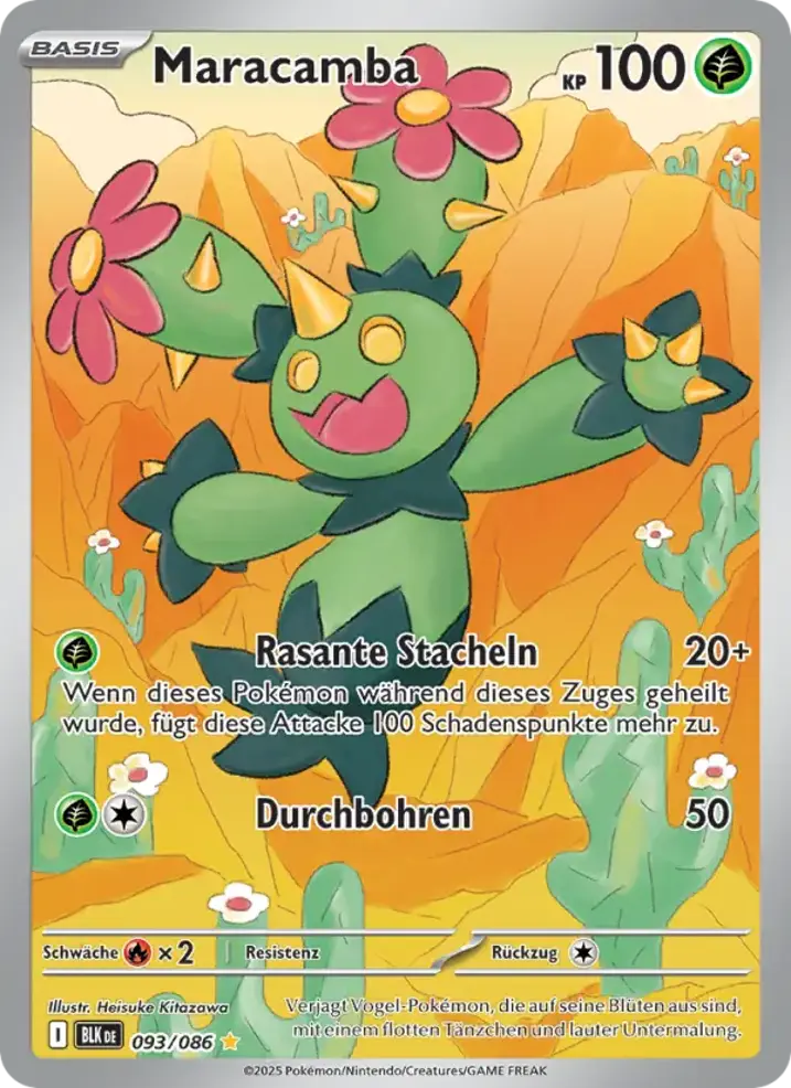 Maractus 