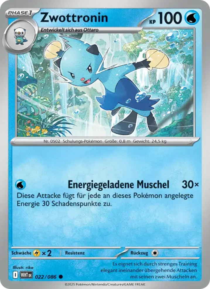 Dewott 