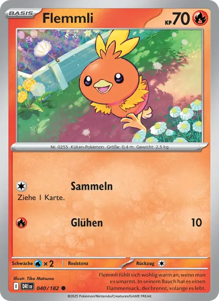 Torchic 