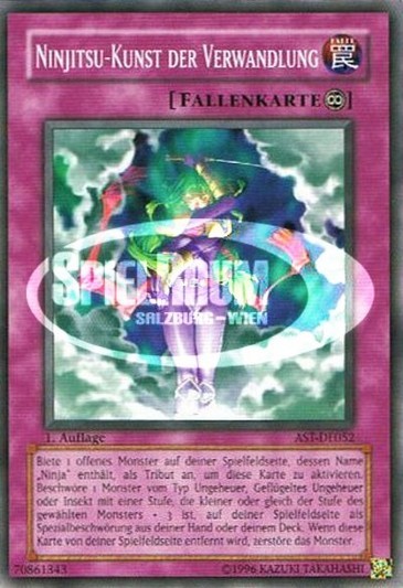 Ninjitsu Art of Transformation