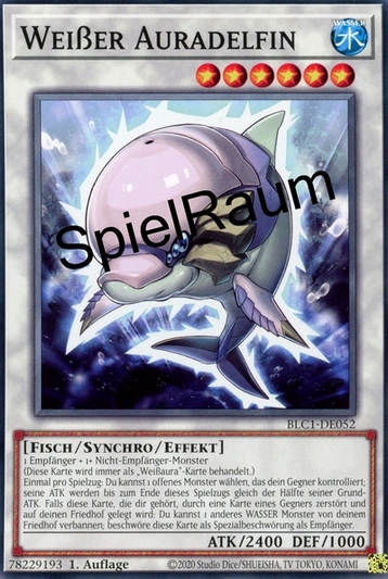 White Aura Dolphin