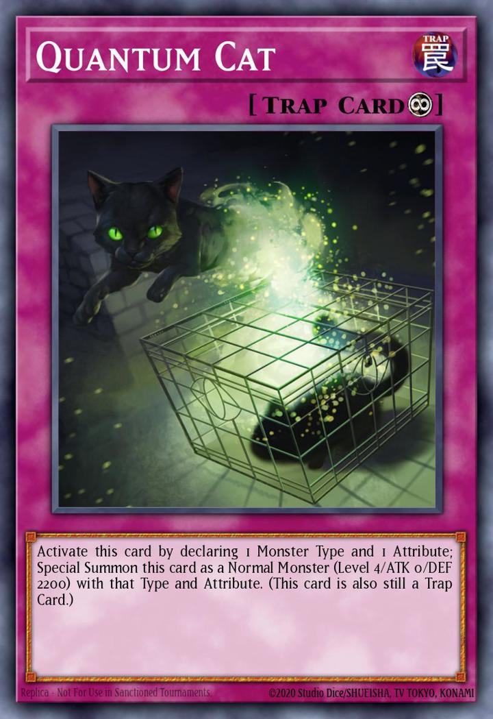Quantum Cat (V.1 - Common)