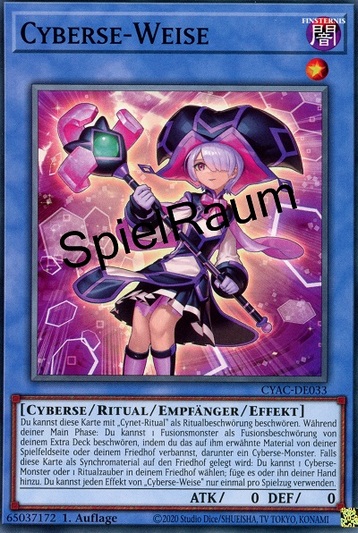 Cyberse Sage