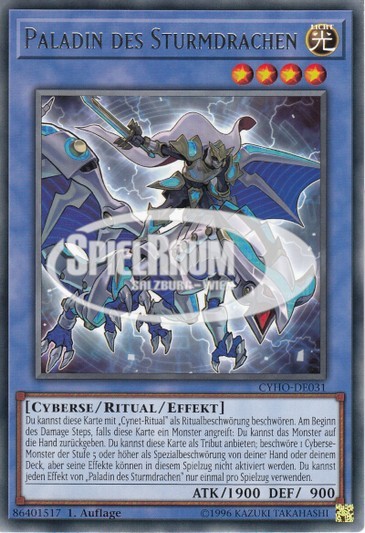 Paladin of Storm Dragon