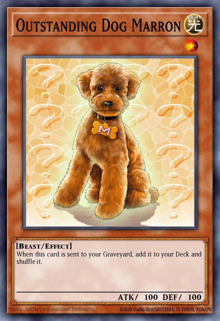 Outstanding Dog Marron Single: Yu-Gi-Oh! Dark Crisis (25th Anniversary Edition) Einzelkarte