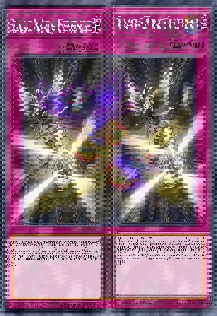 Black Wing Revenge
