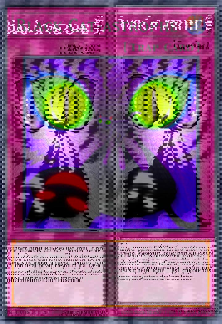 Black Cat-astrophe