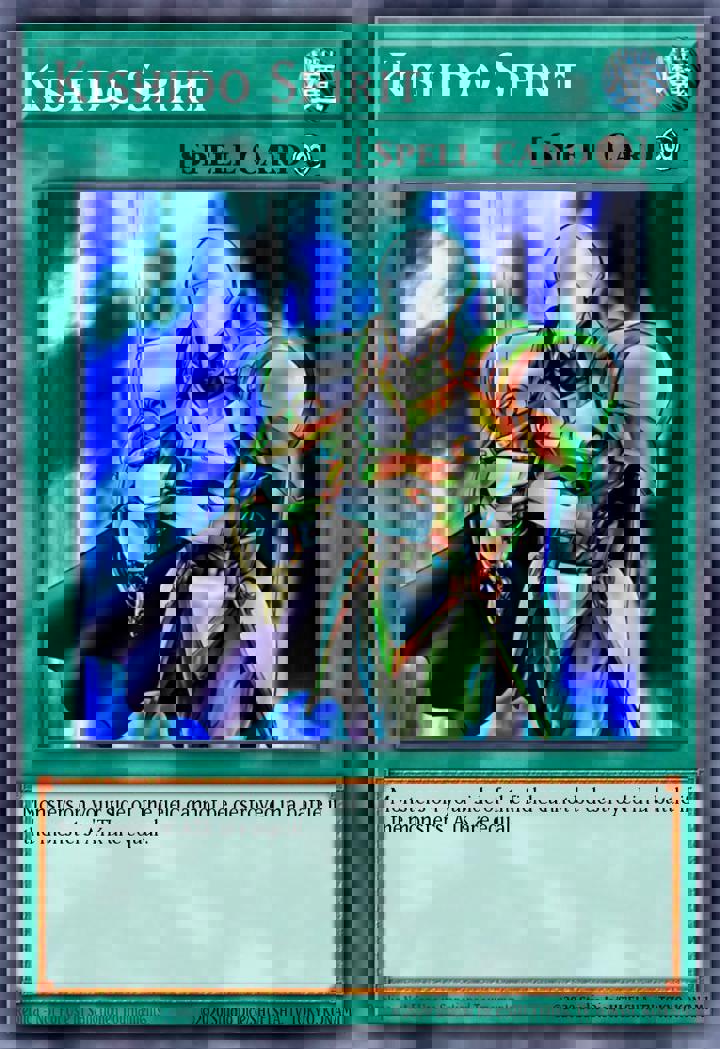 Kishido Spirit