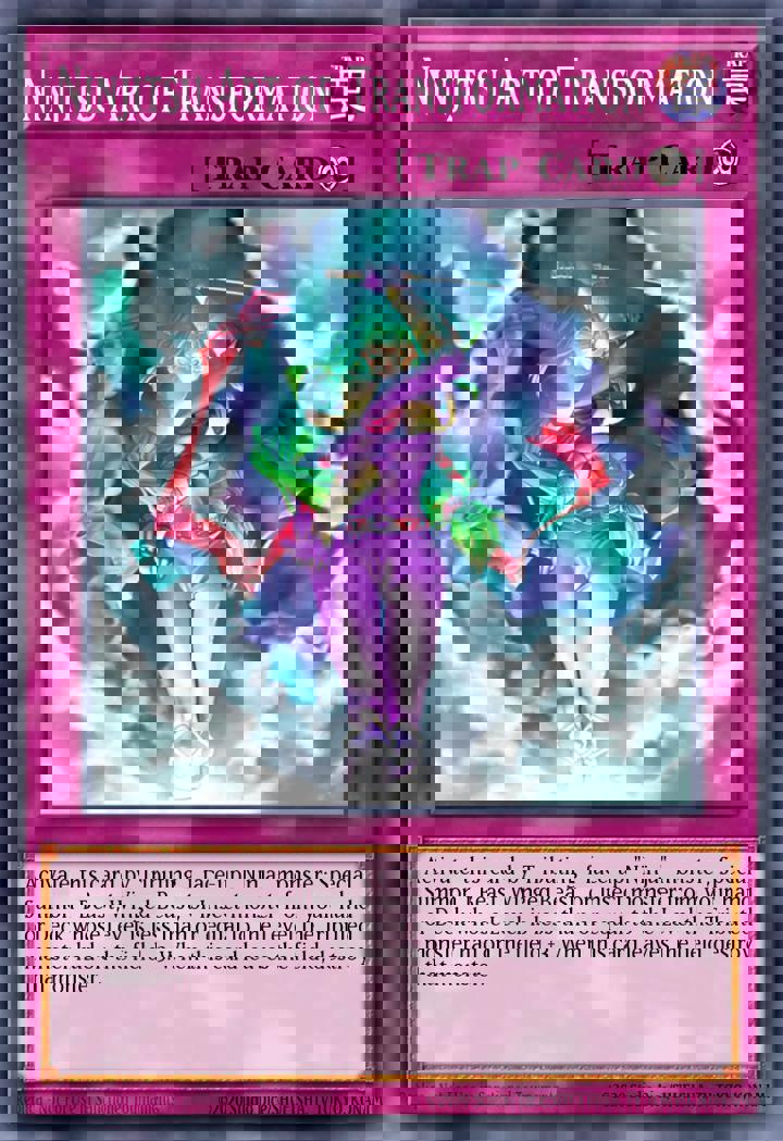 Ninjitsu Art of Transformation