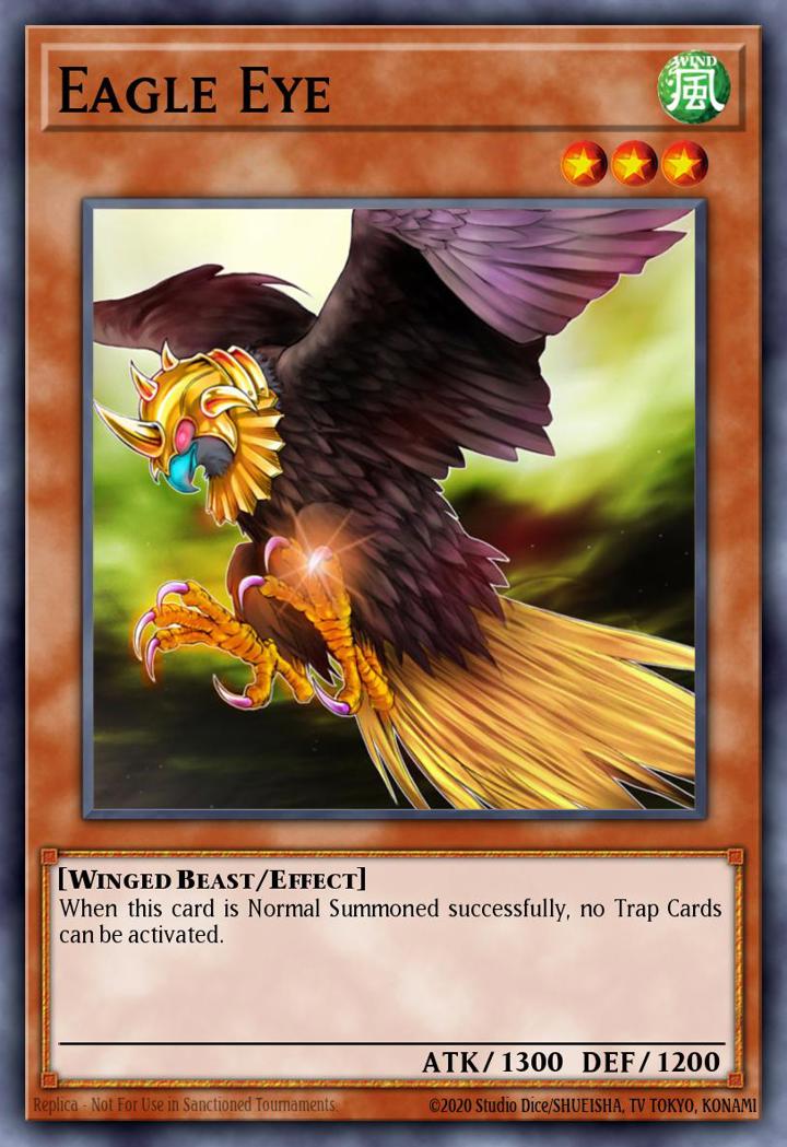 Eagle Eye