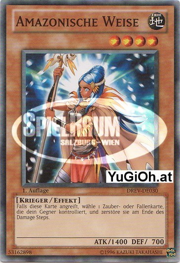 Amazoness Sage