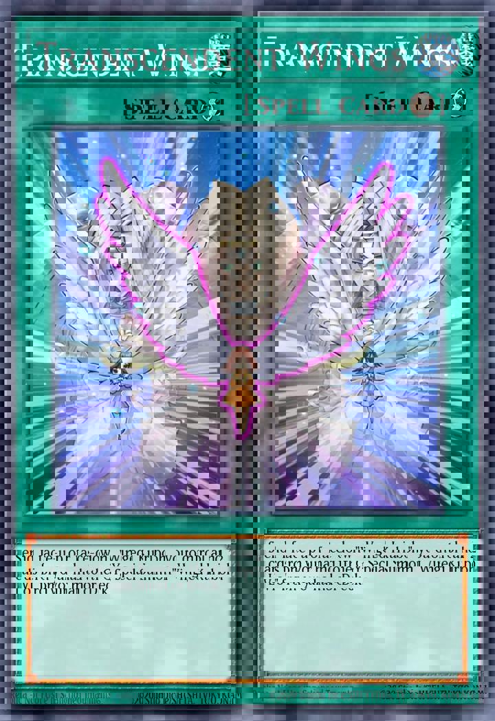 Transcendent Wings