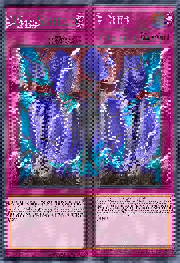 D - Shield