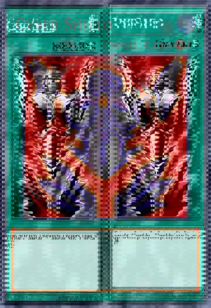 Cyber Shield