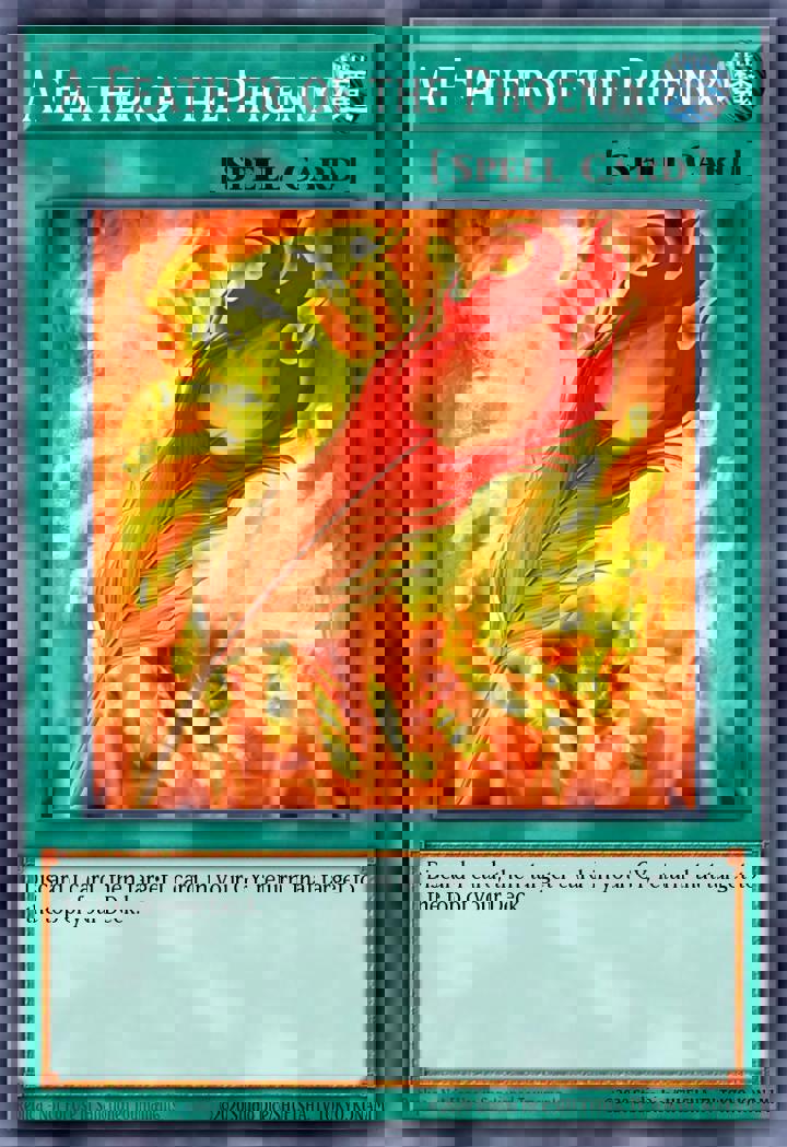 A Feather of the Phoenix