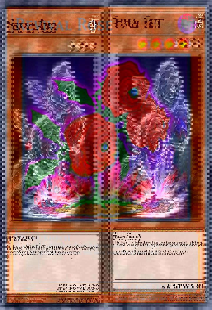 Revival Rose