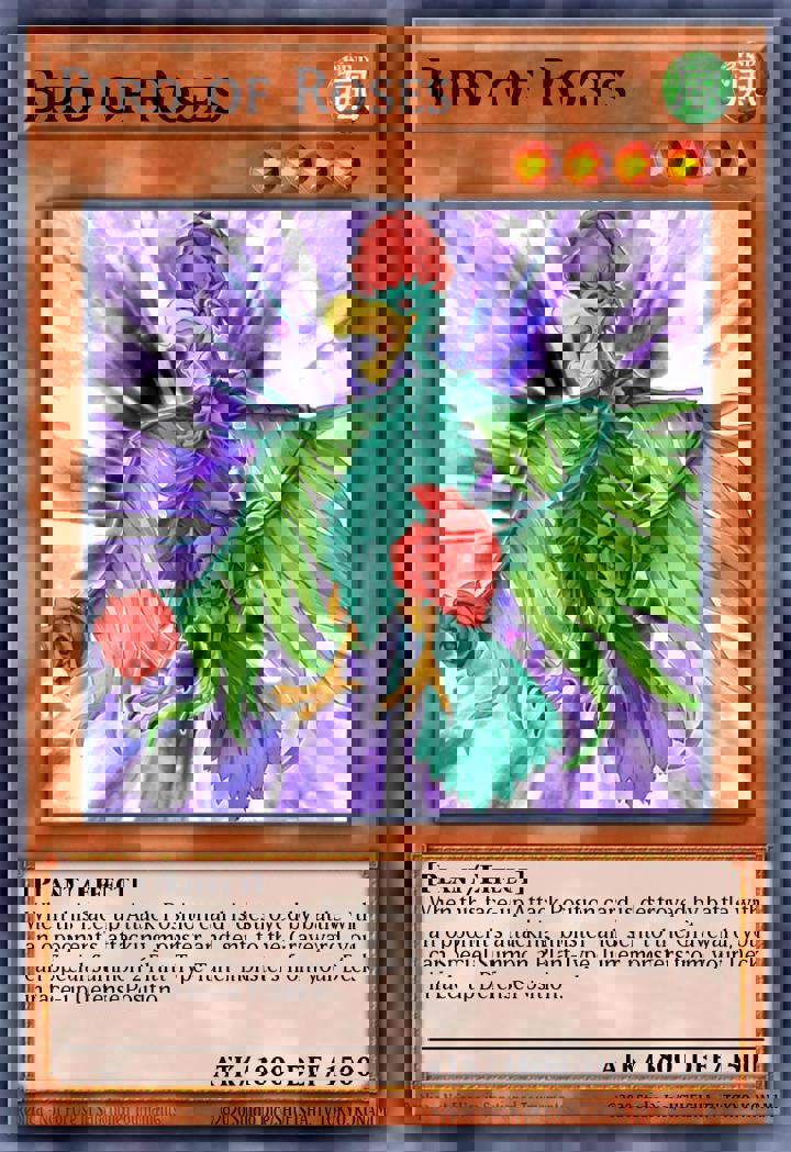Bird of Roses