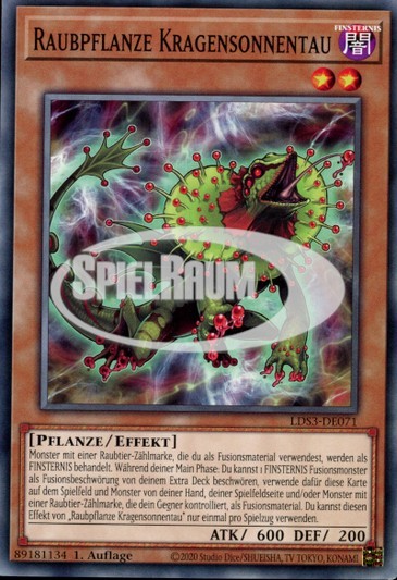 Predaplant Chlamydosundew