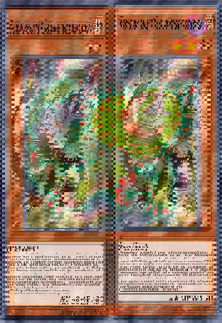 Predaplant Chlamydosundew