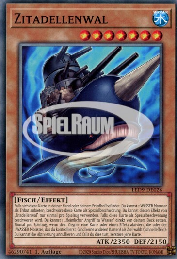 Citadel Whale