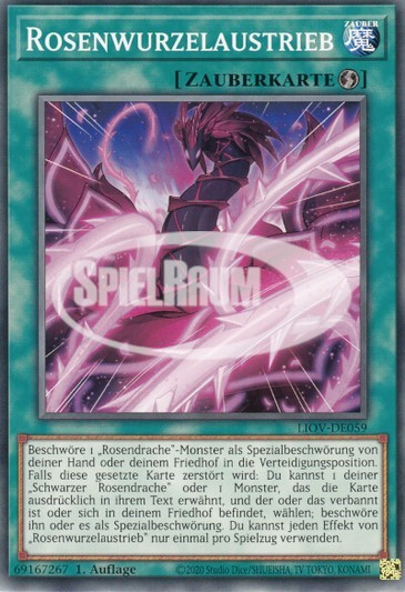 Basal Rose Shoot