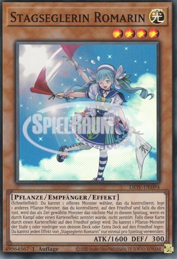 Staysailor Romarin