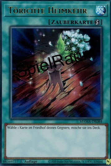 Foolish Return