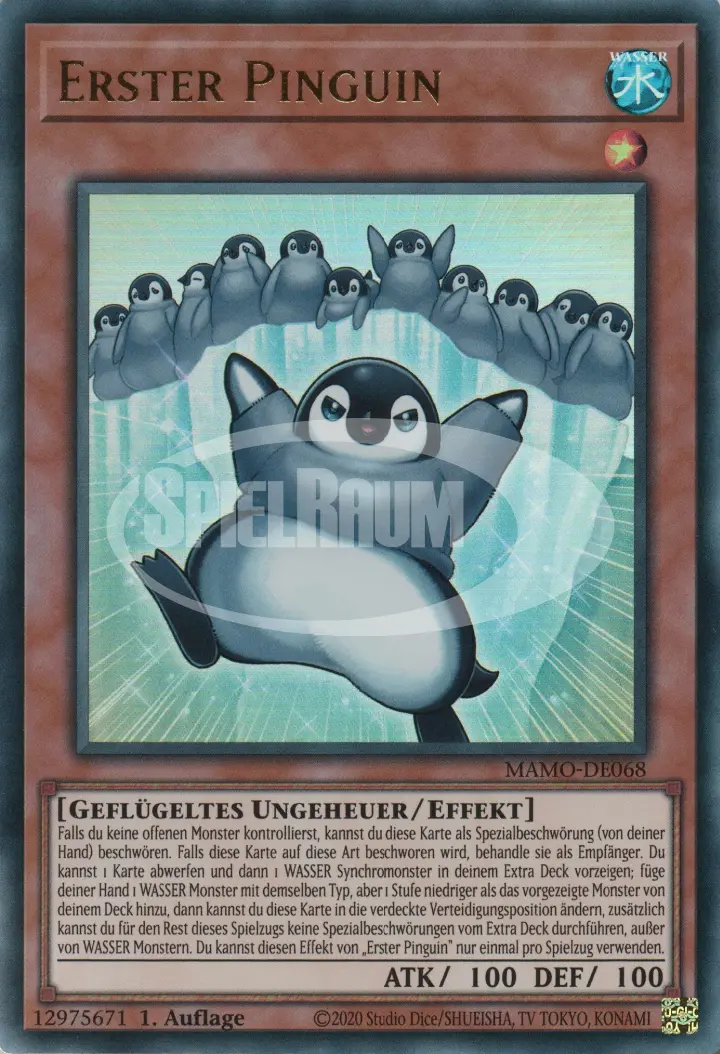 First Penguin