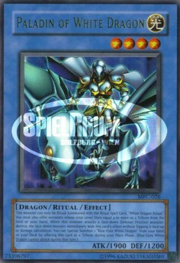 Paladin of White Dragon