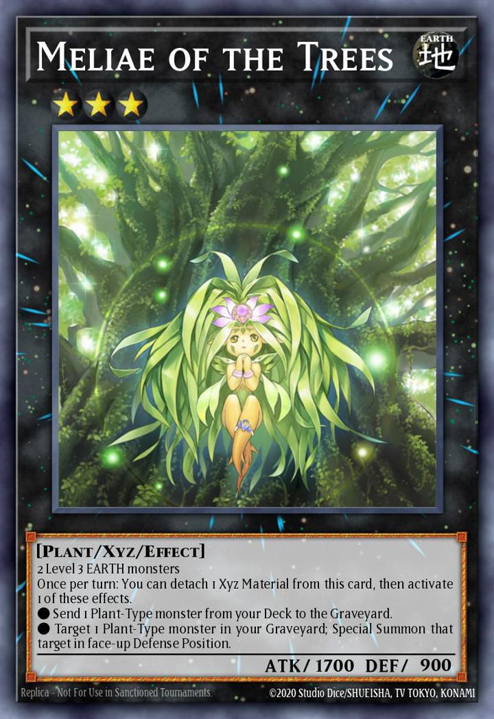 Meliae of the Trees