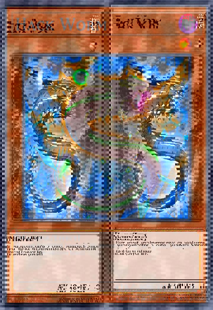 Hack Worm