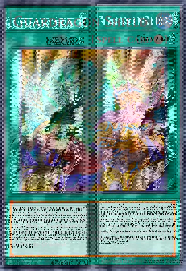 Guardragon Shield