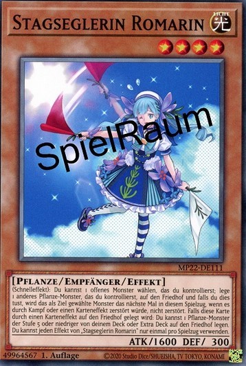 Staysailor Romarin