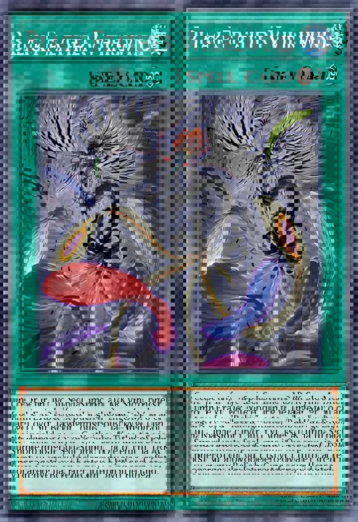 Black Feather Whirlwind