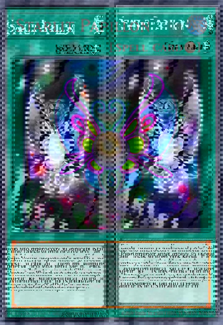 Starlit Papillon