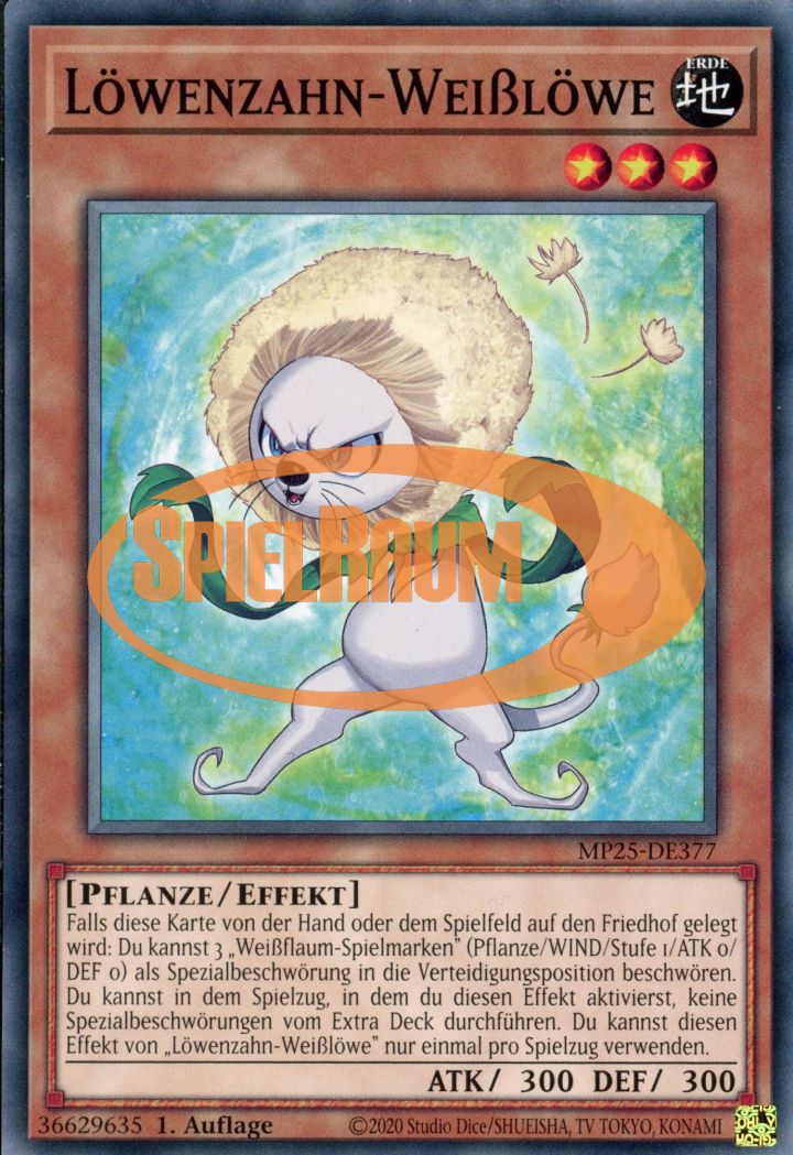 Dandy Whitelion