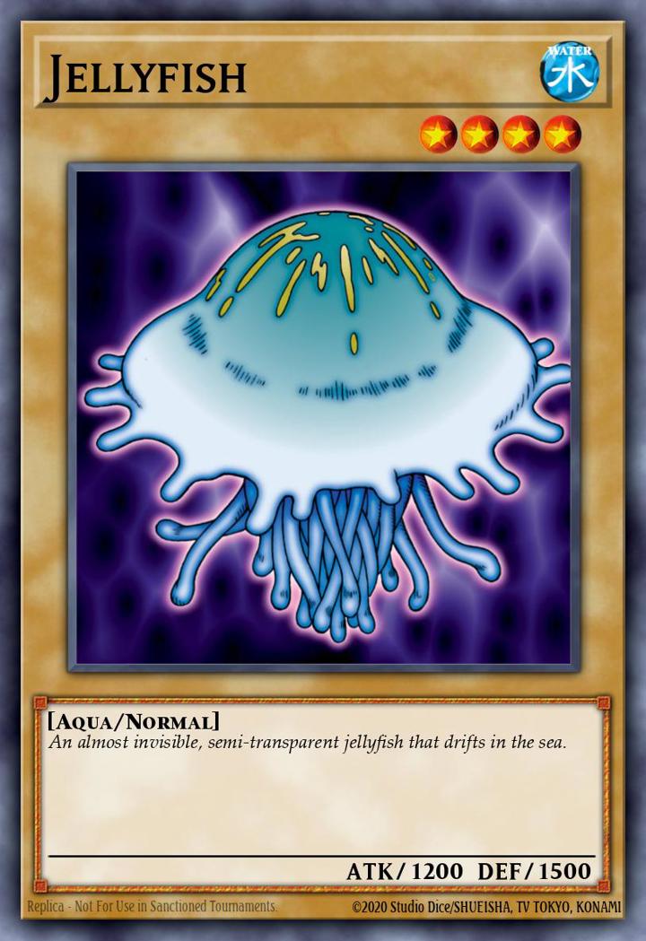 Jellyfish